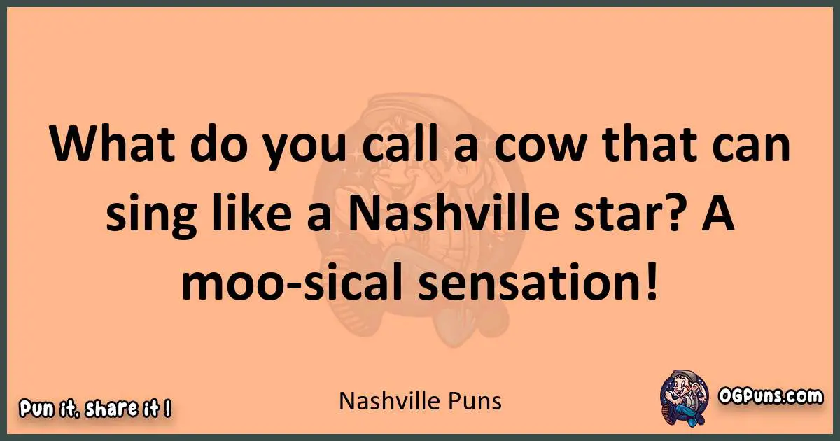 pun with Nashville puns