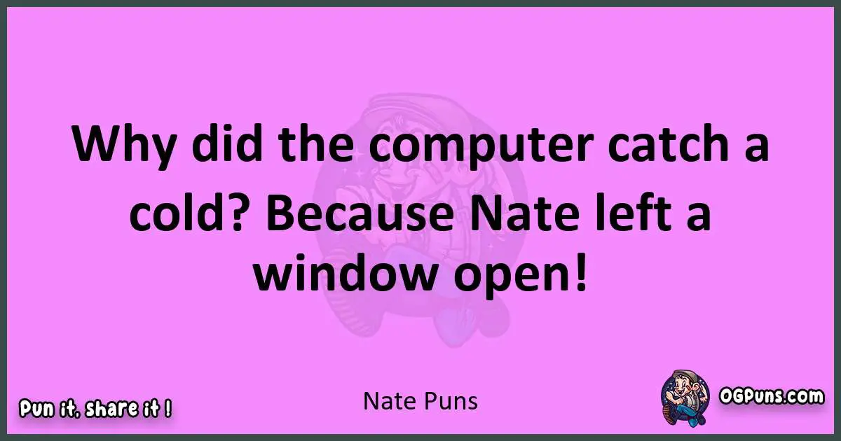 Nate puns nice pun