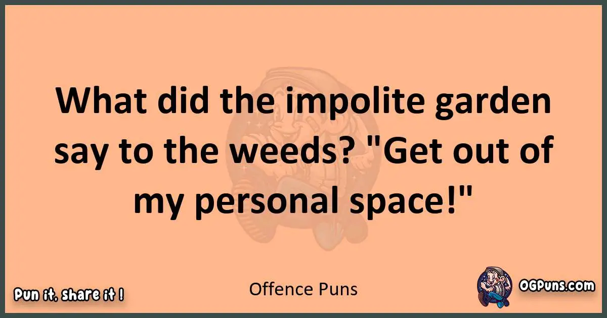 pun with Offence puns