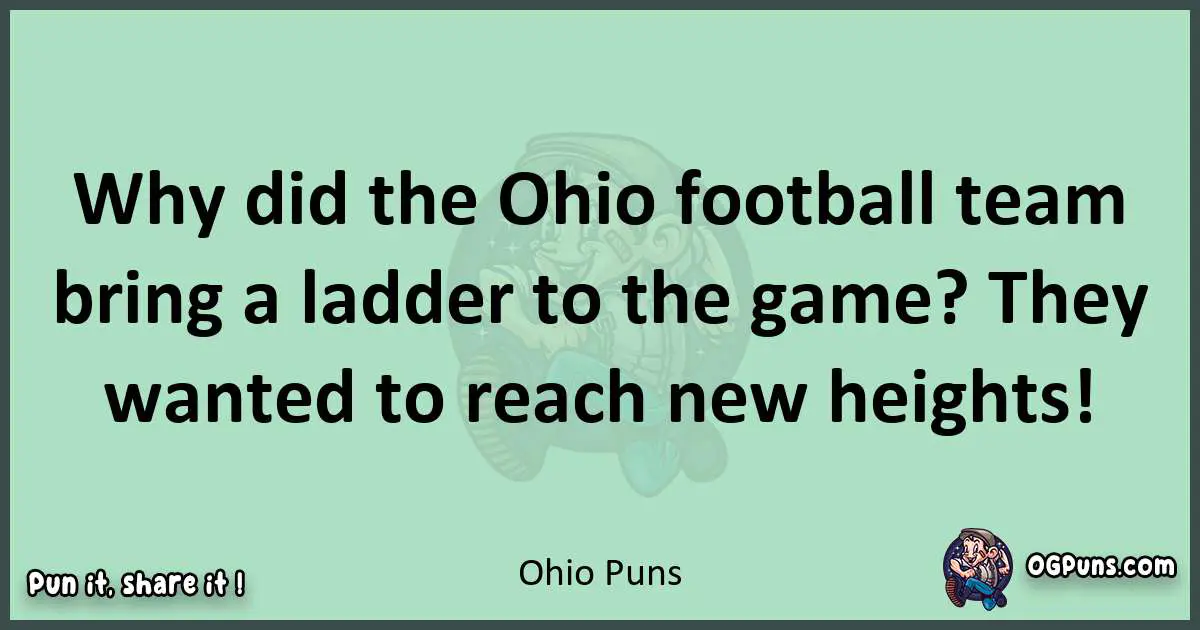 wordplay with Ohio puns