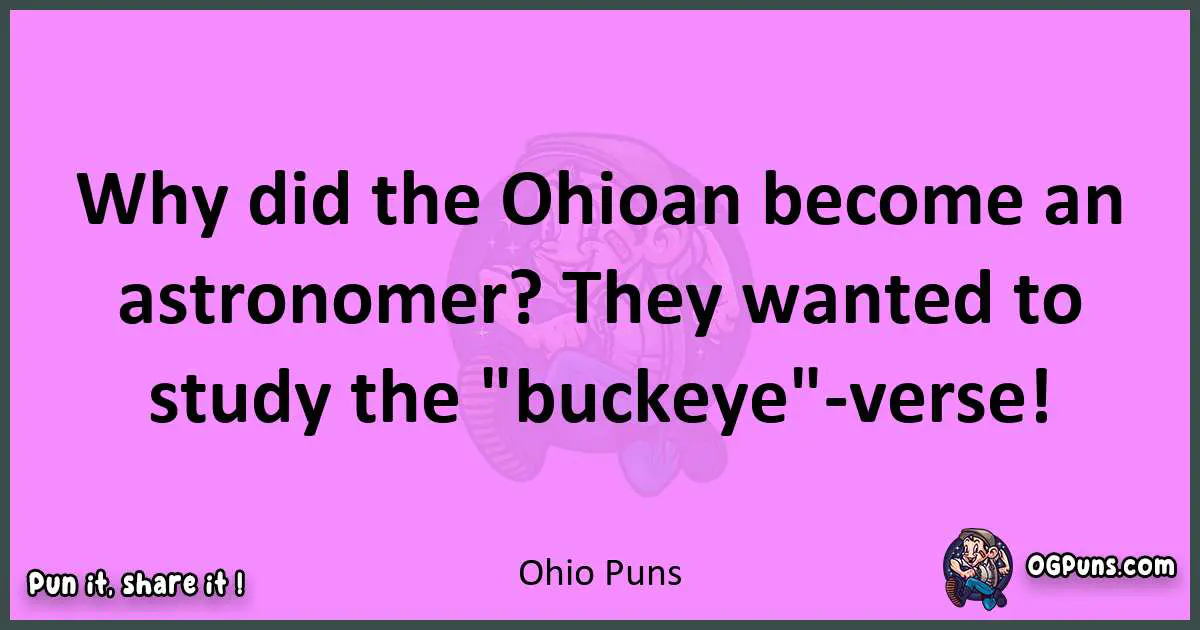 Ohio puns nice pun