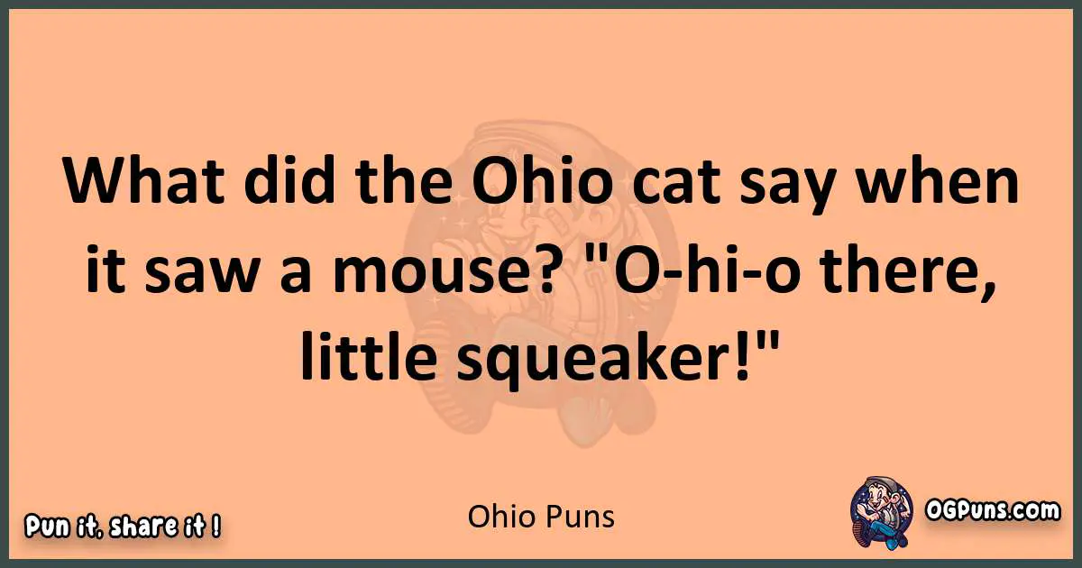 pun with Ohio puns