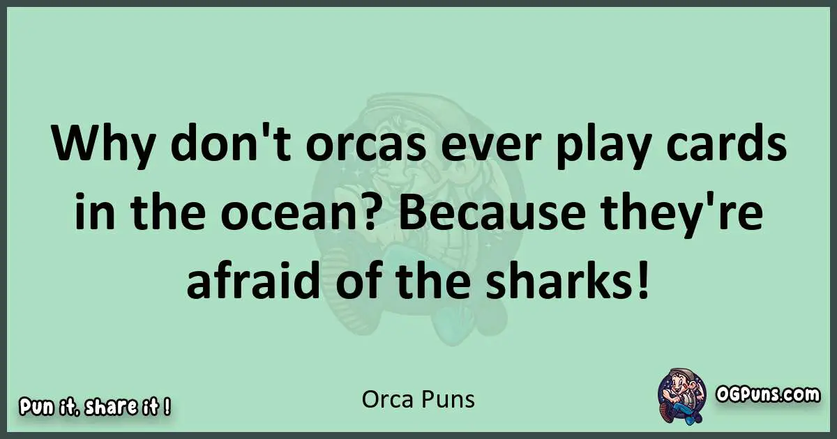 wordplay with Orca puns