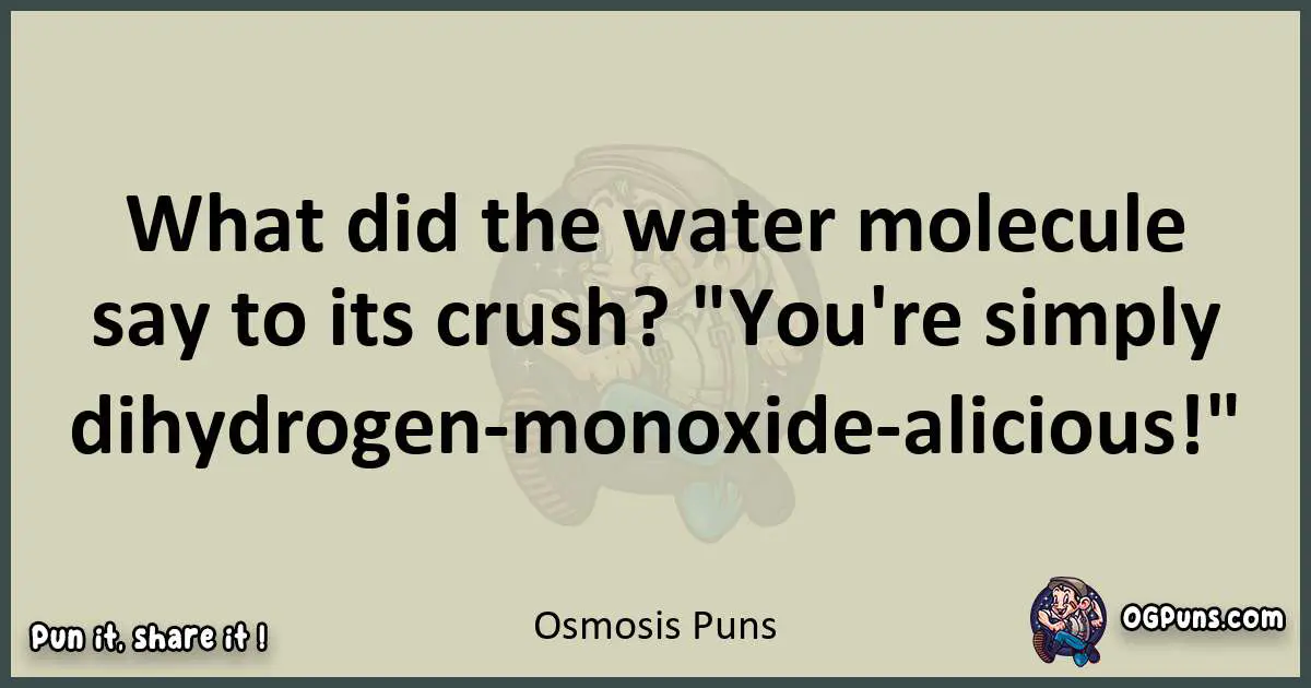 Osmosis puns text wordplay