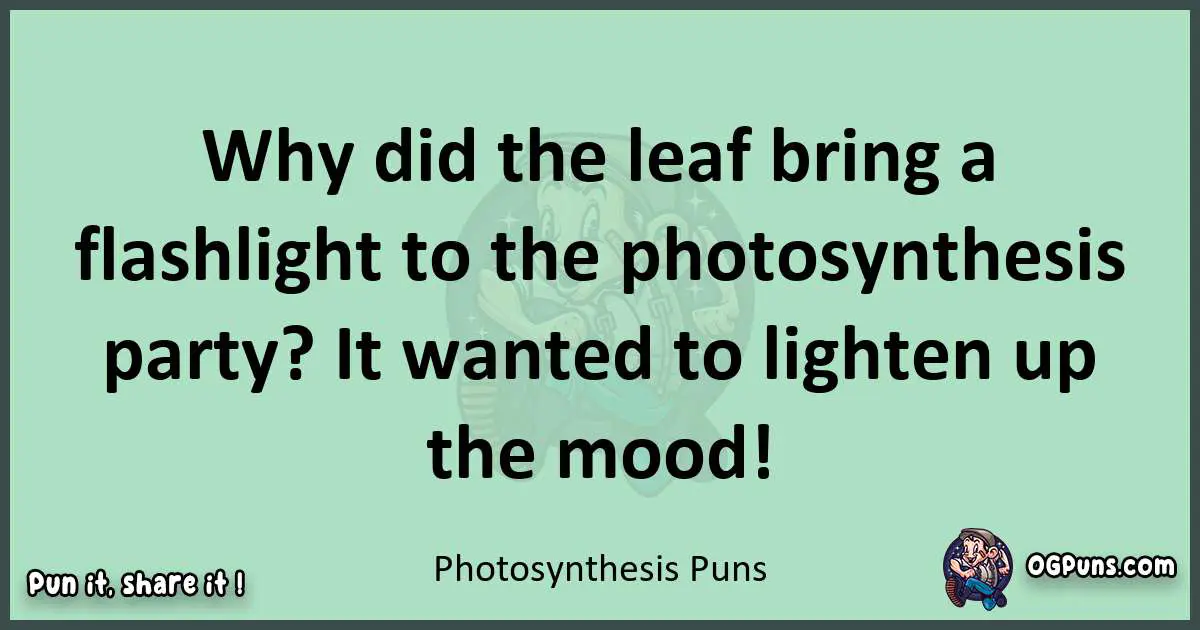 wordplay with Photosynthesis puns