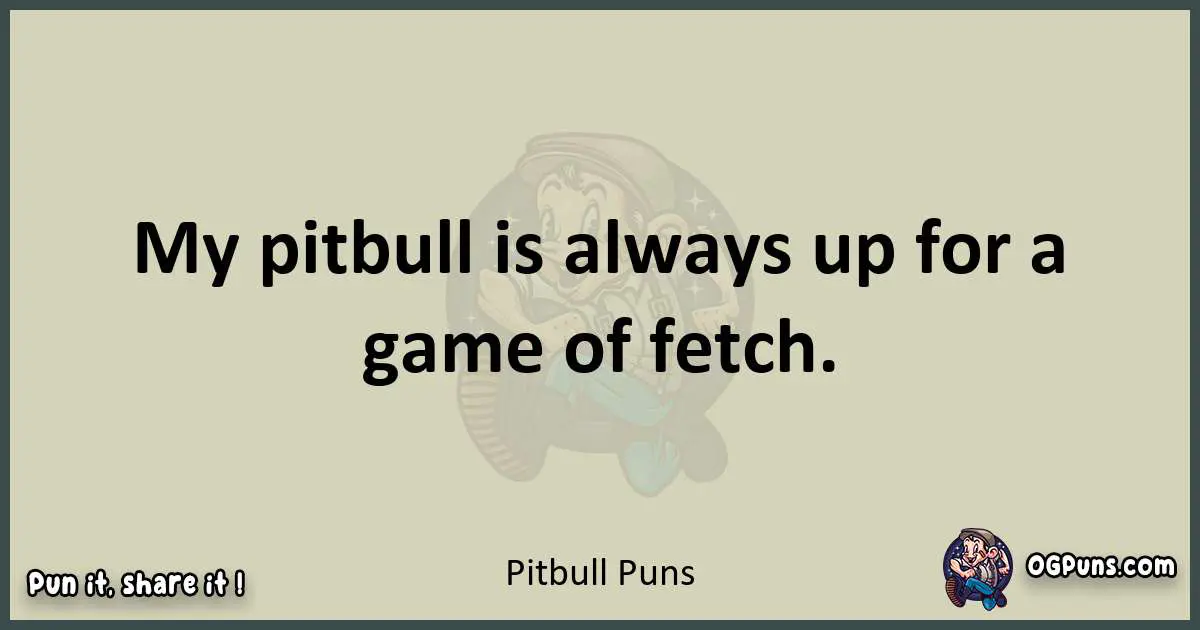 Pitbull puns text wordplay