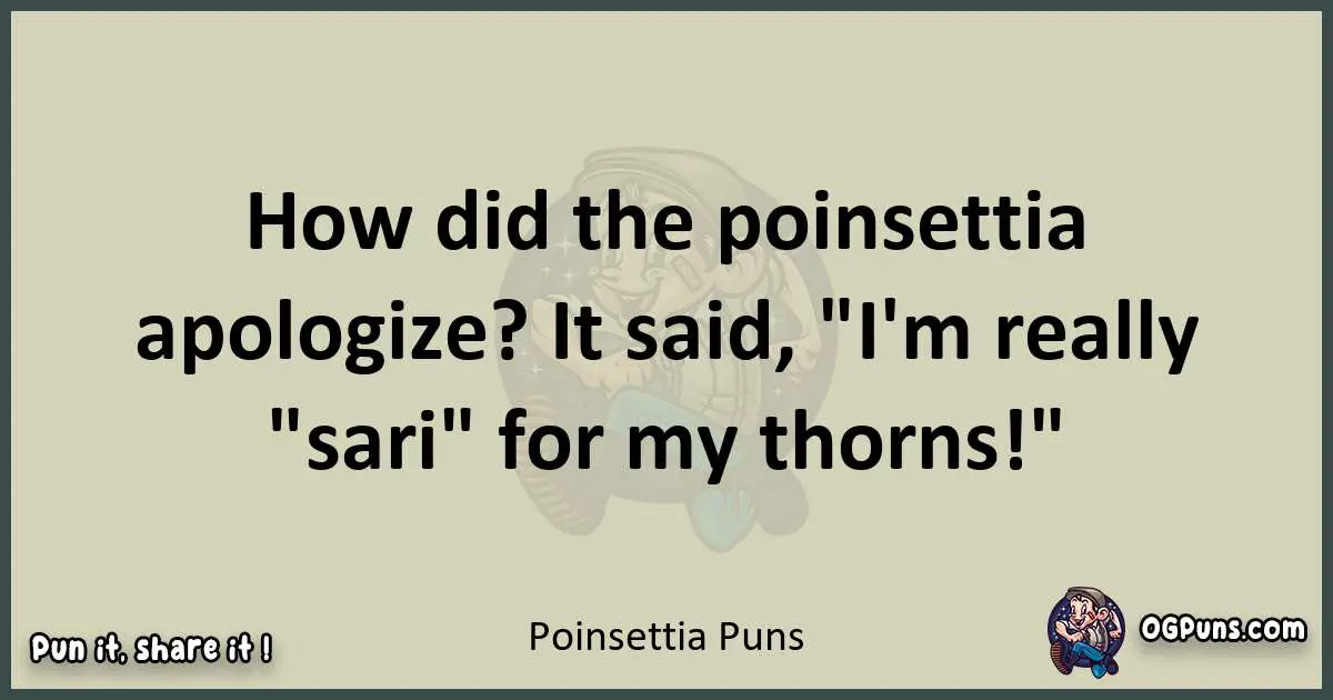 Poinsettia puns text wordplay