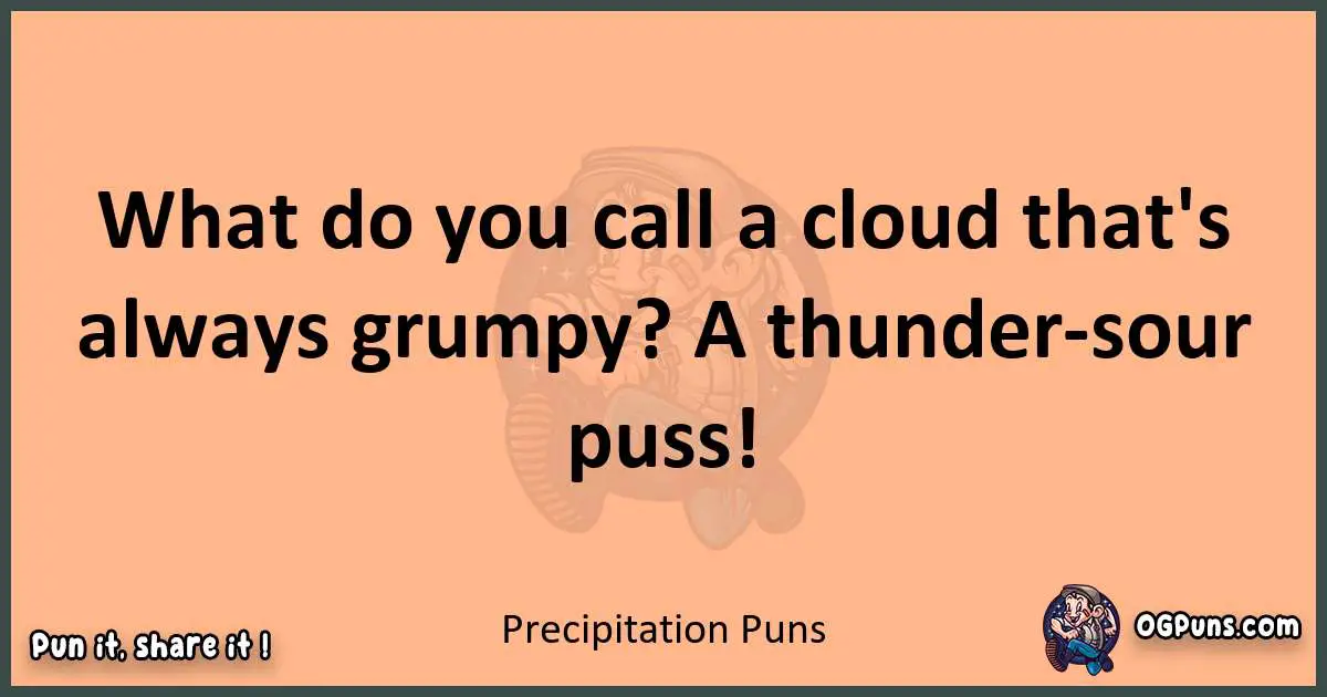 pun with Precipitation puns
