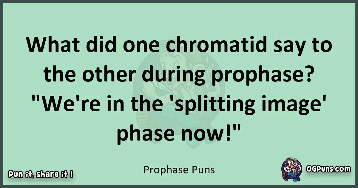 wordplay with Prophase puns