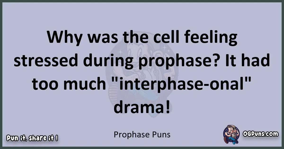 Textual pun with Prophase puns