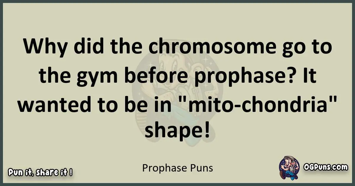 Prophase puns text wordplay