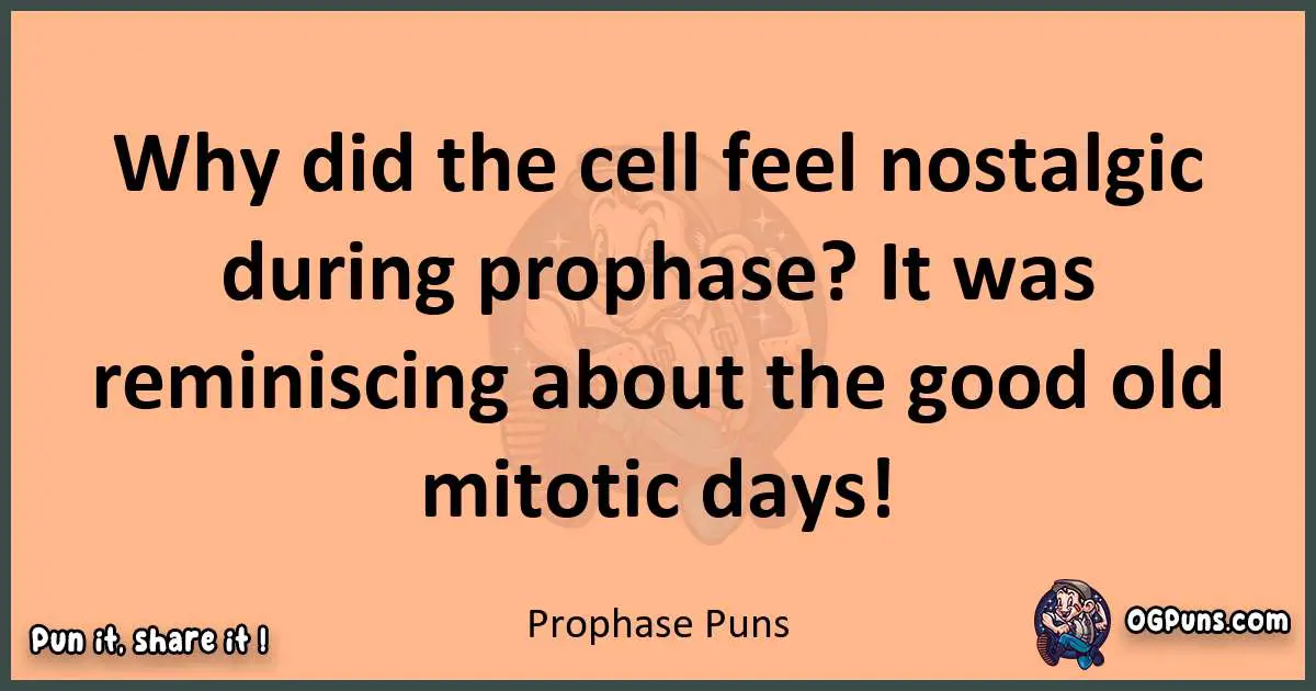 pun with Prophase puns