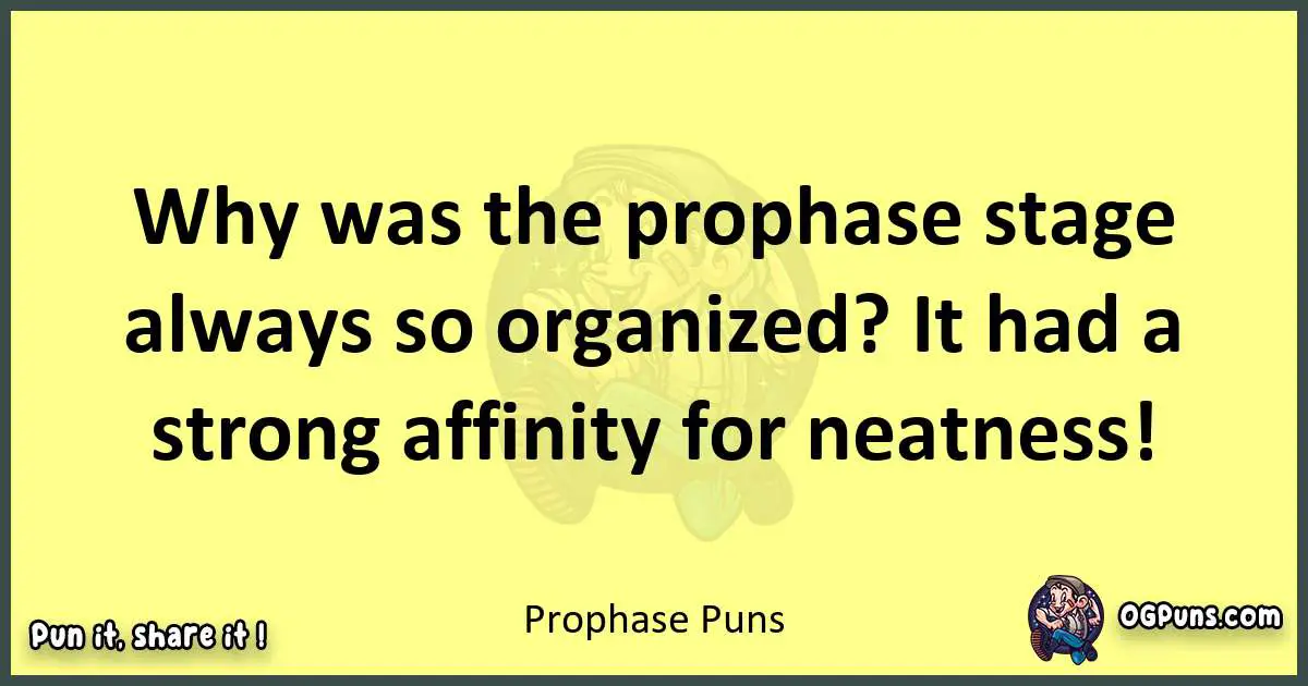 Prophase puns best worpdlay