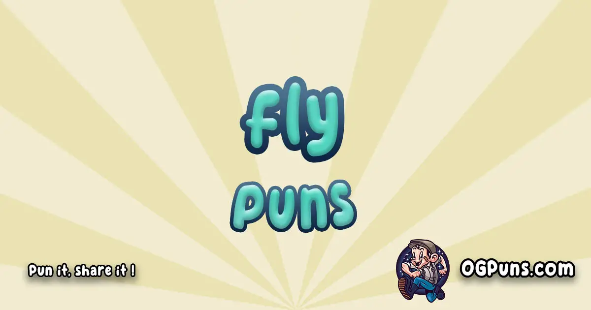 Fly puns Play on word