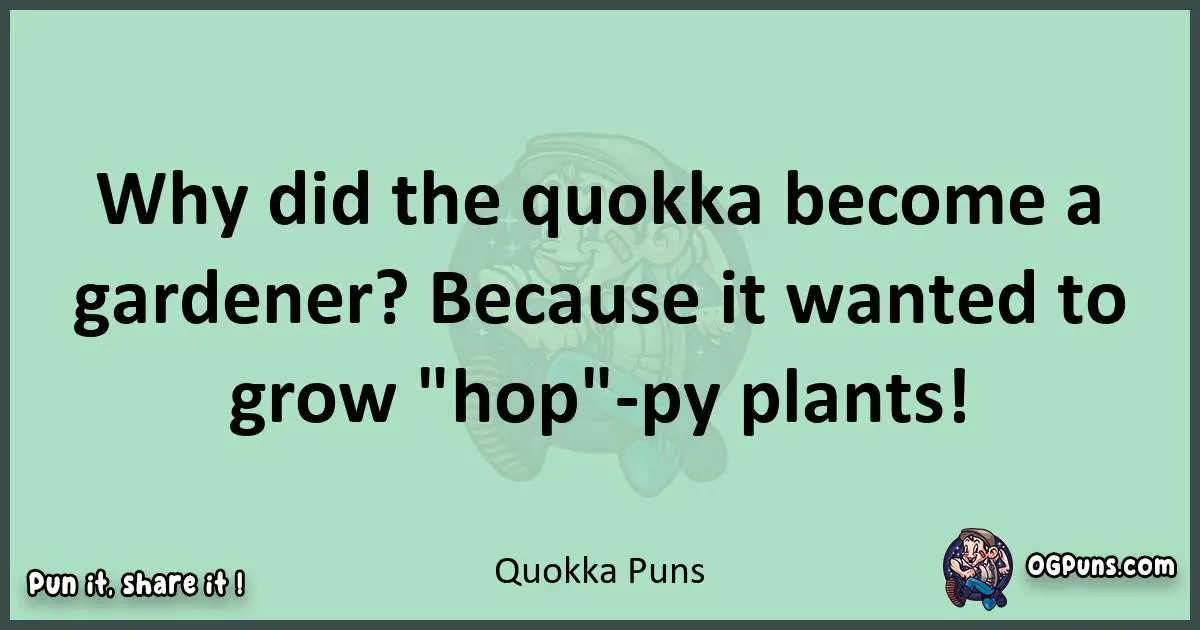 wordplay with Quokka puns