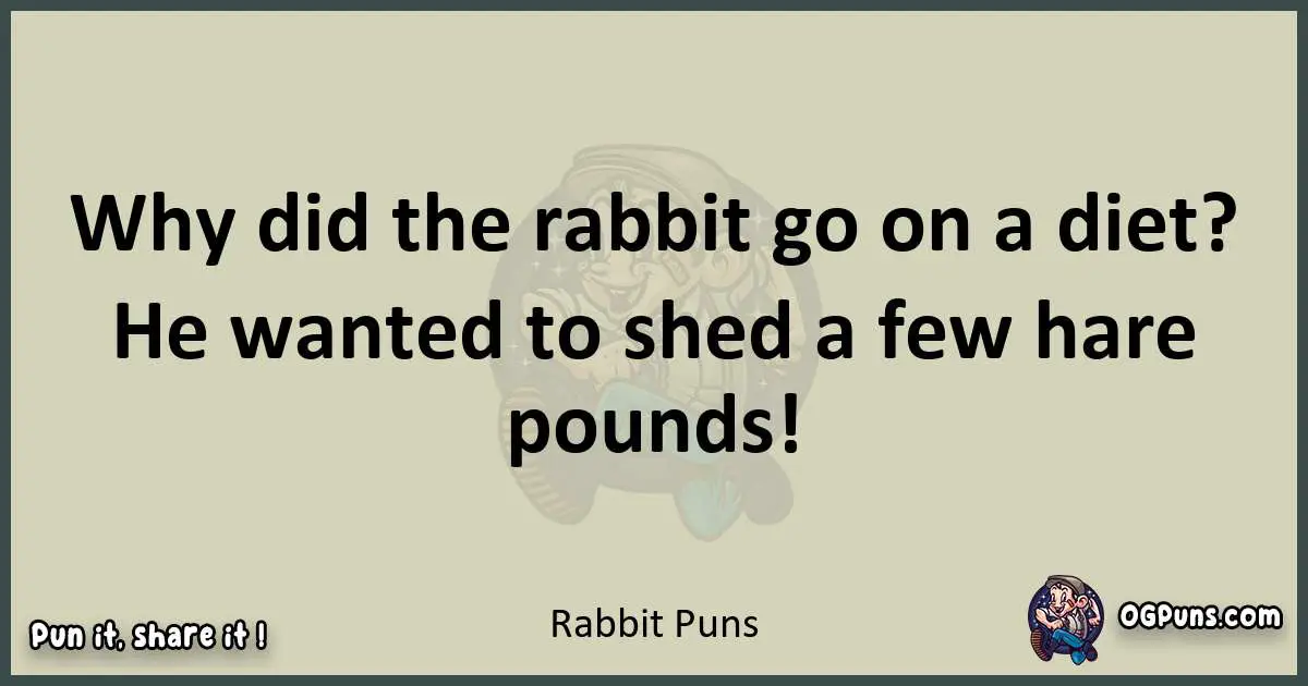 Rabbit puns text wordplay