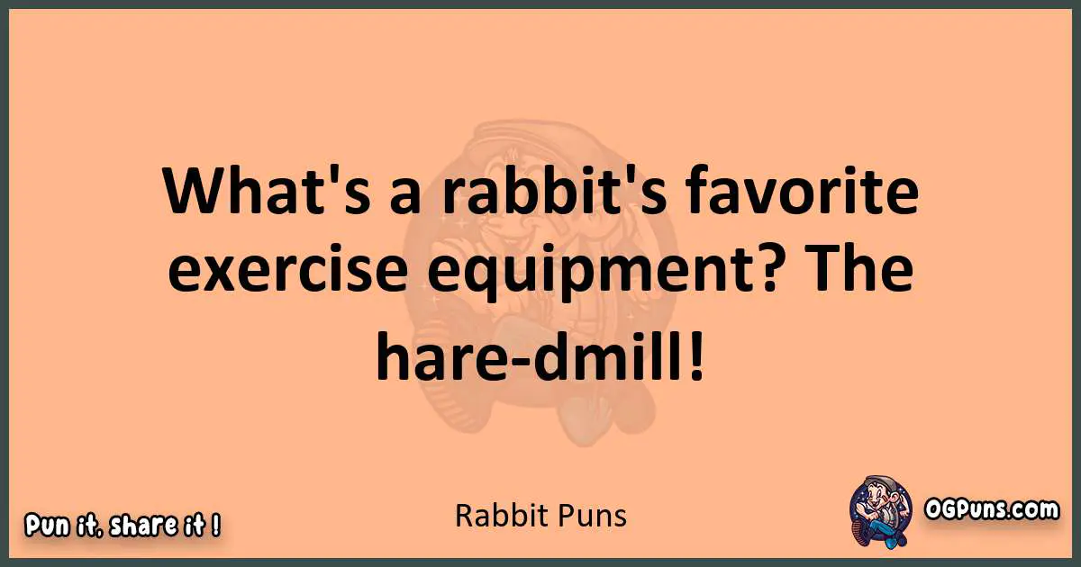 pun with Rabbit puns