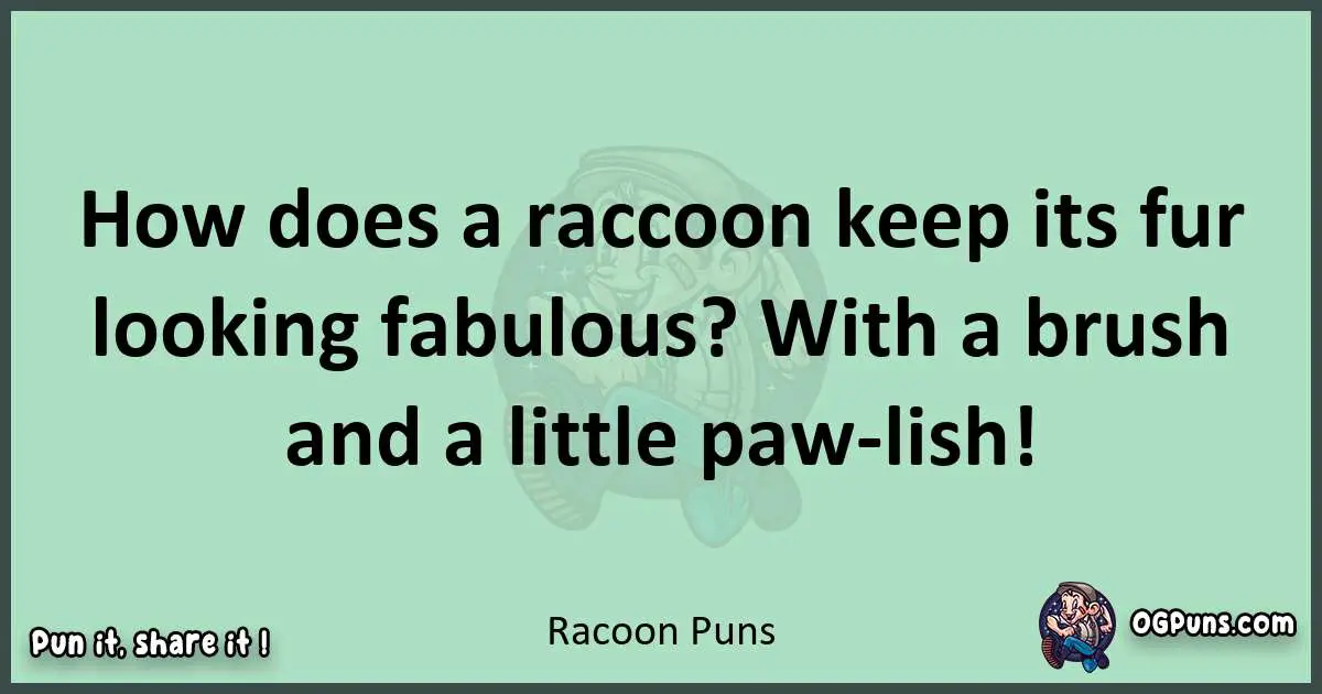 wordplay with Racoon puns