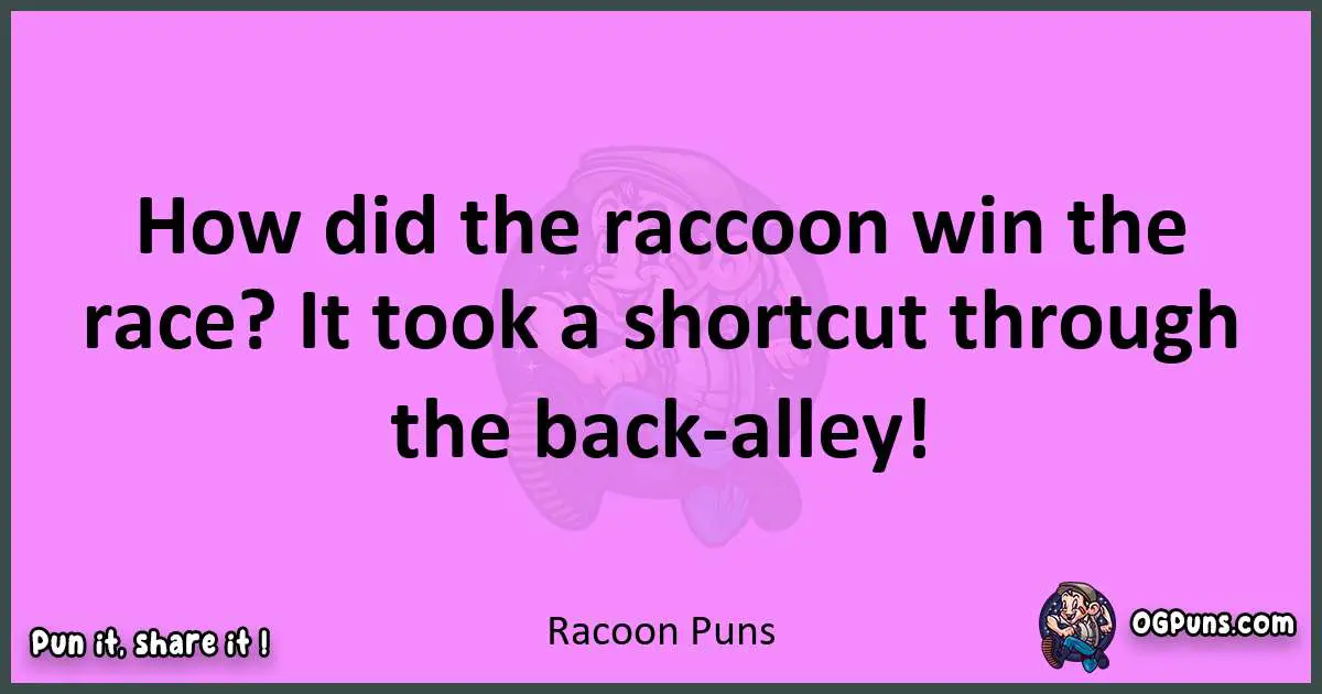 Racoon puns nice pun