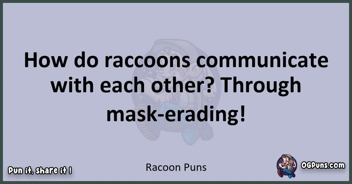 Textual pun with Racoon puns