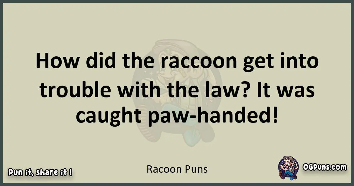 Racoon puns text wordplay