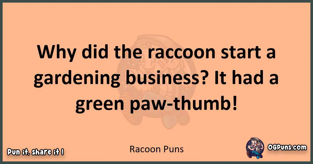 pun with Racoon puns