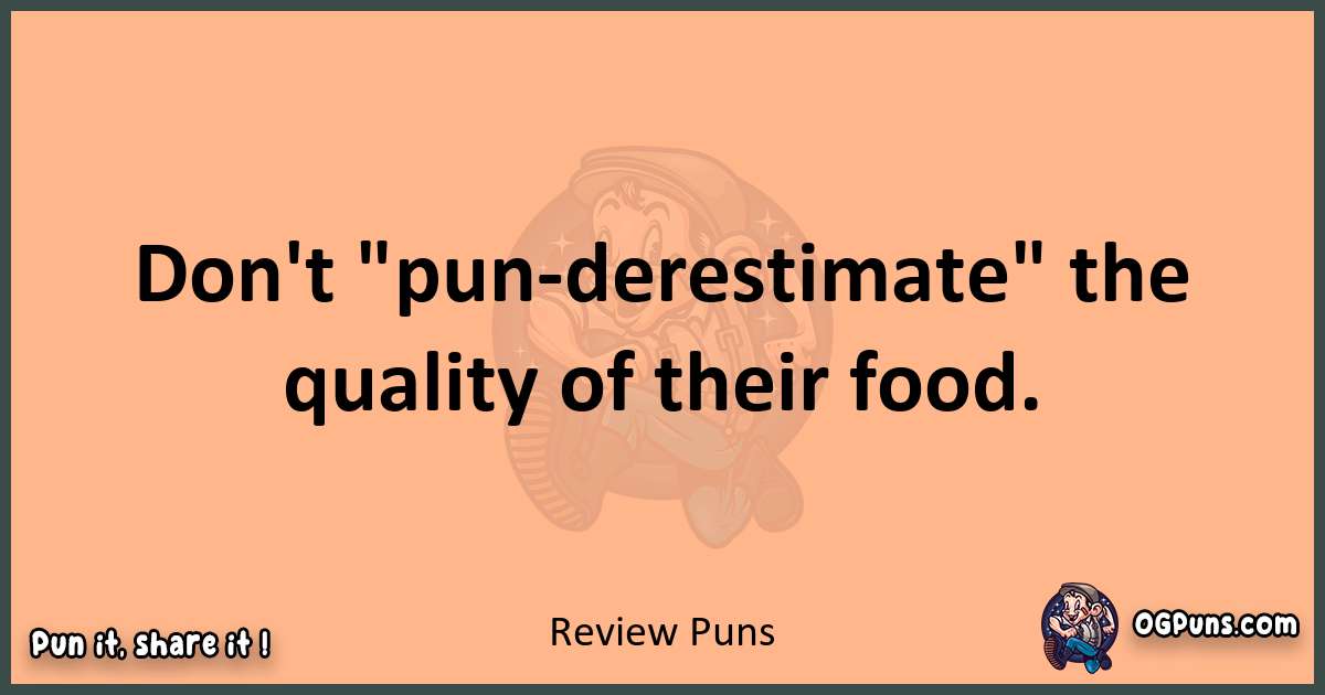 pun with Review puns