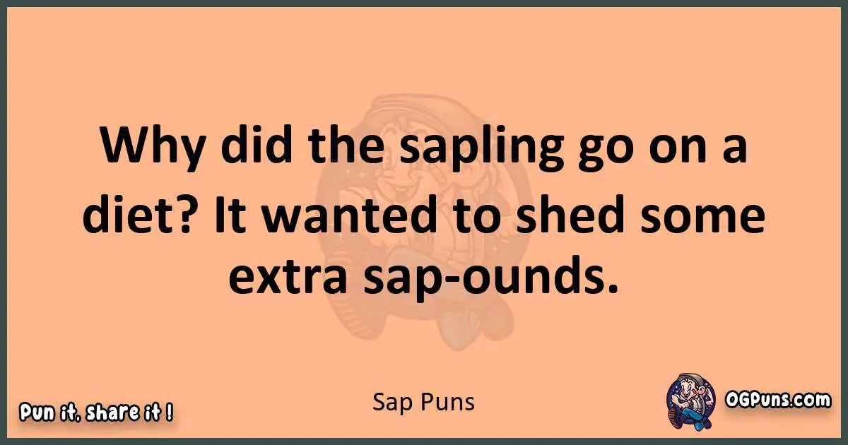 pun with Sap puns