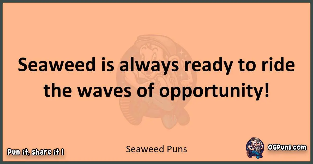 pun with Seaweed puns