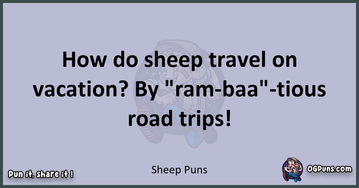 Textual pun with Sheep puns