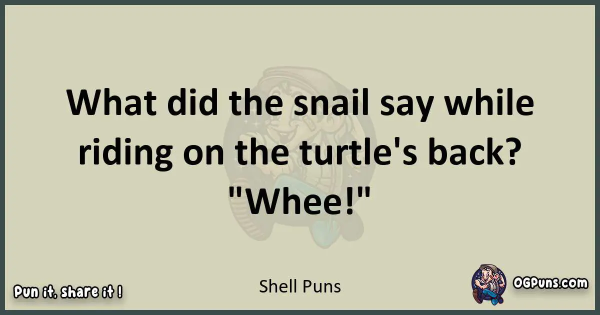 Shell puns text wordplay