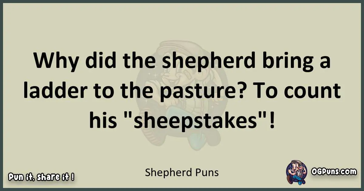 Shepherd puns text wordplay