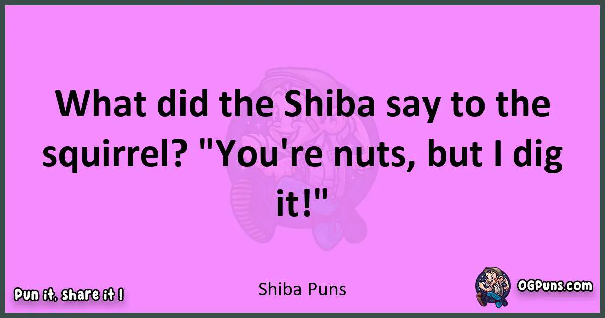 Shiba puns nice pun