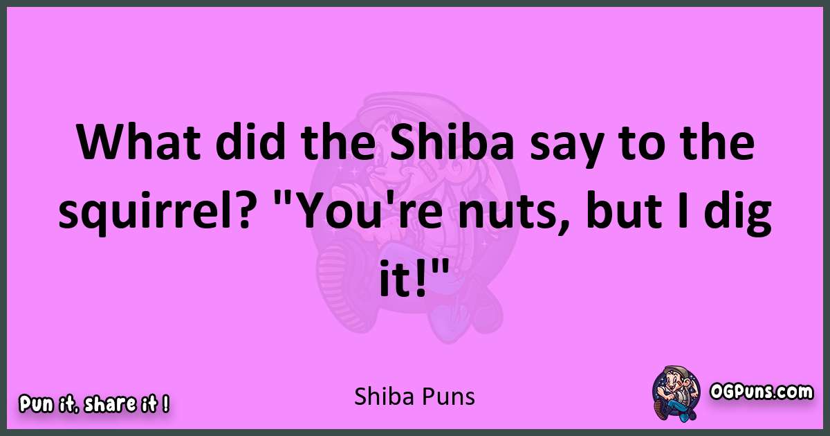 Shiba puns nice pun