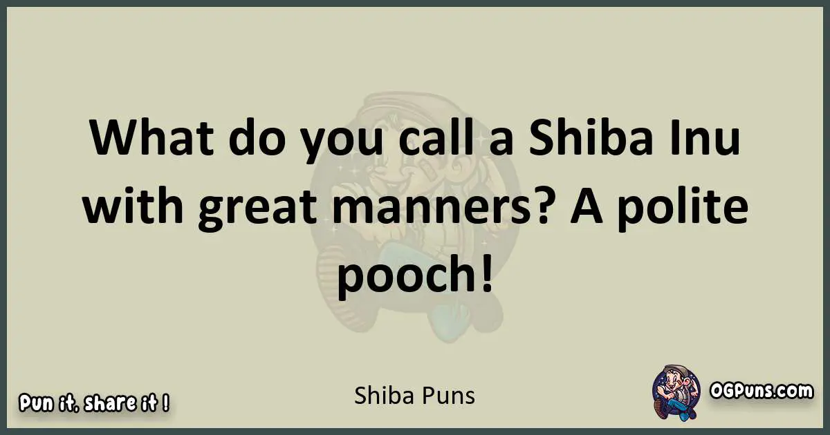 Shiba puns text wordplay
