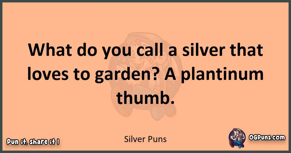 pun with Silver puns