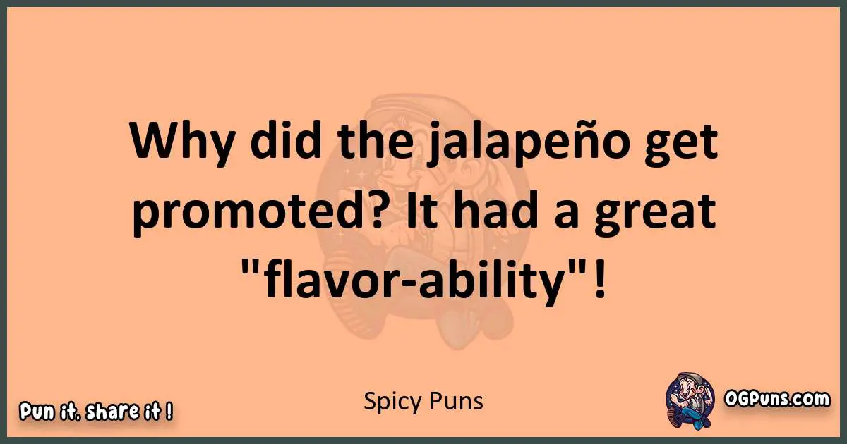 pun with Spicy puns