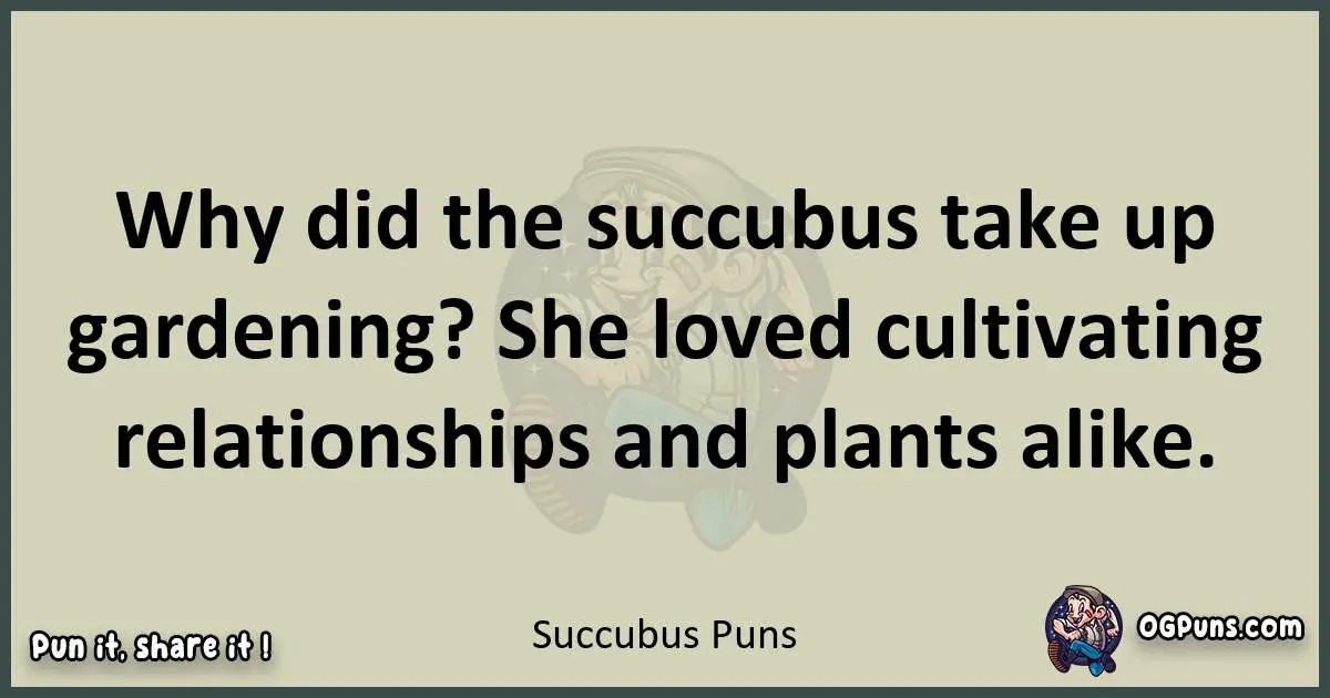 Succubus puns text wordplay