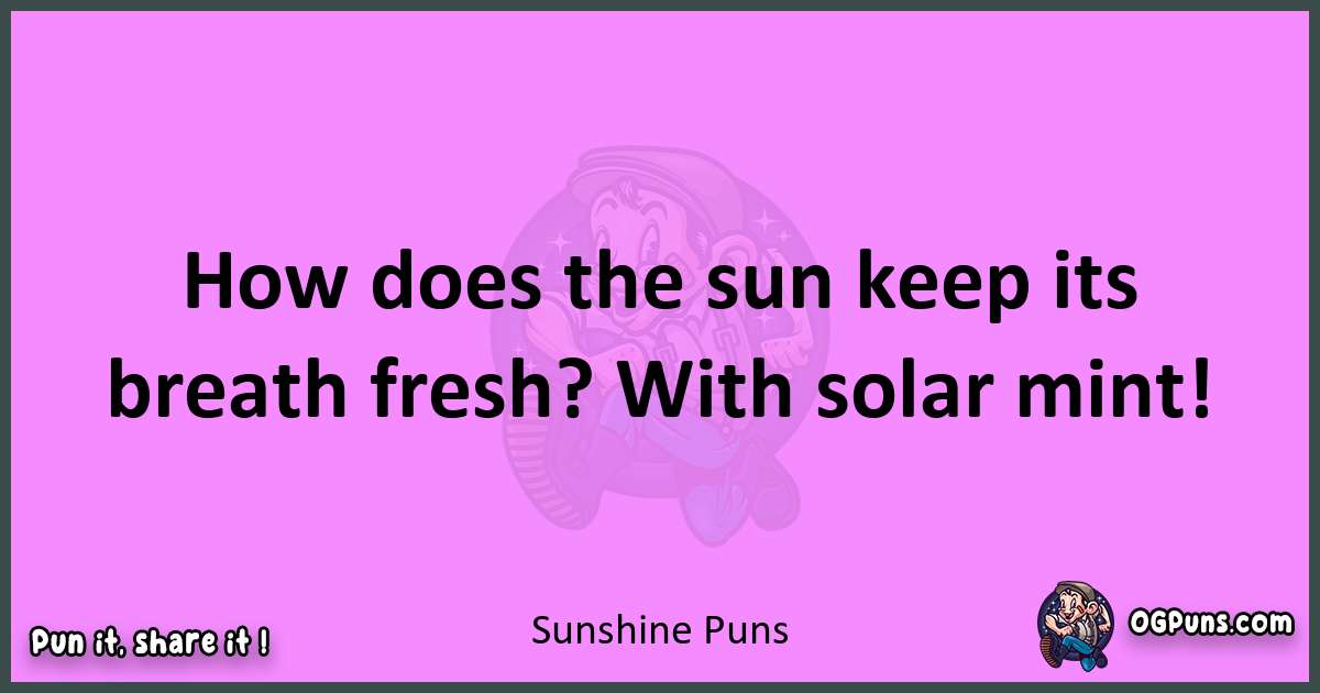 Sunshine puns nice pun