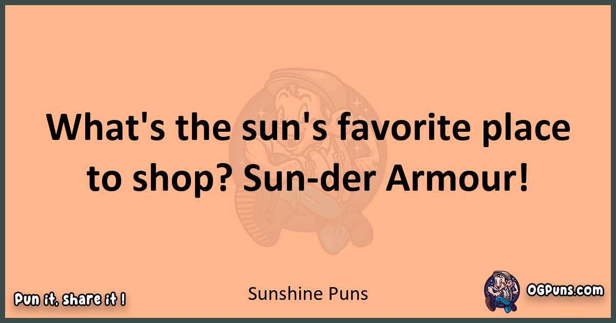 pun with Sunshine puns