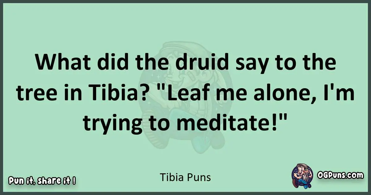 wordplay with Tibia puns