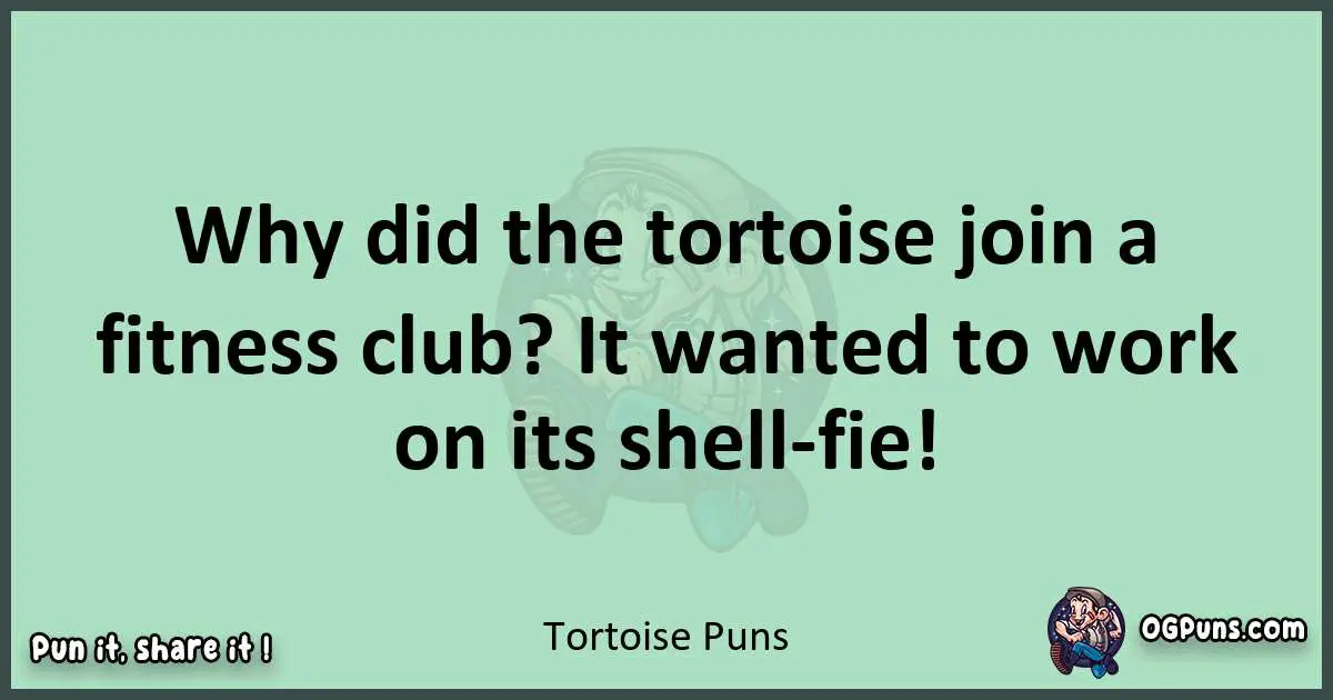 wordplay with Tortoise puns