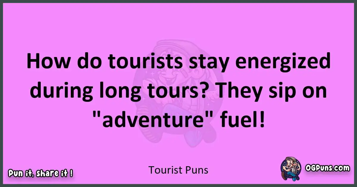Tourist puns nice pun