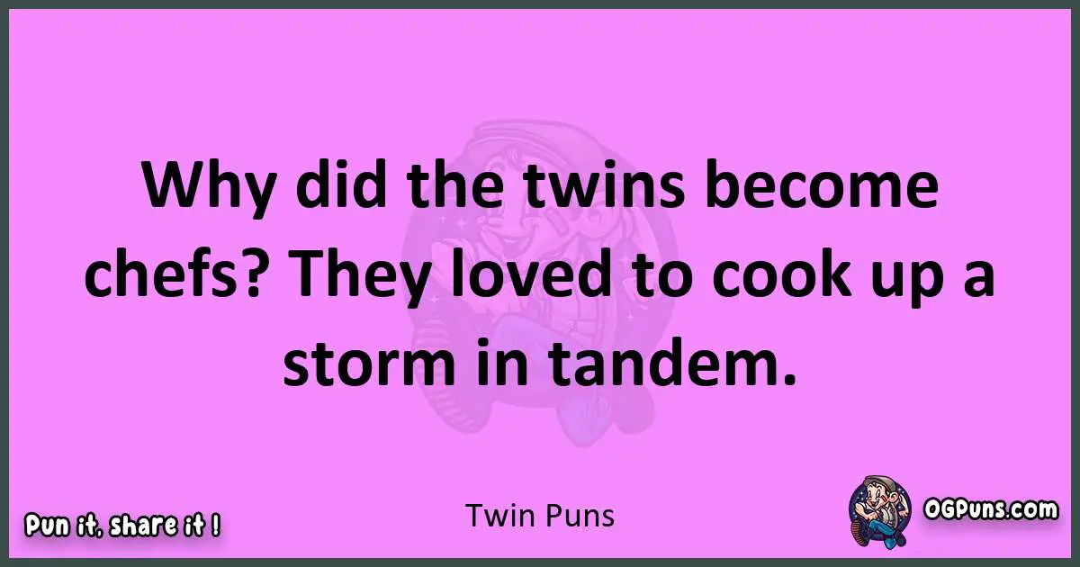 Twin puns nice pun
