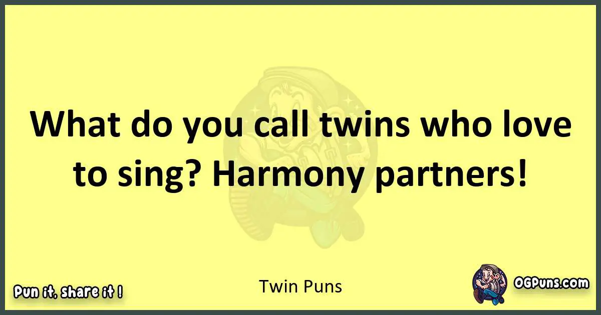 Twin puns best worpdlay