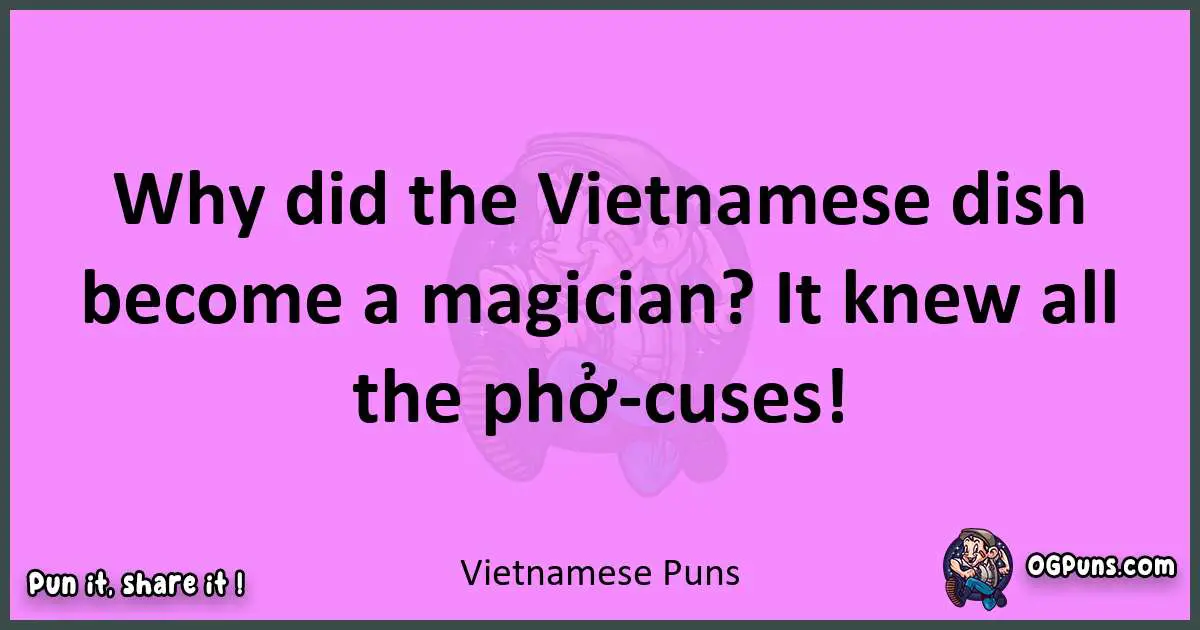 Vietnamese puns nice pun