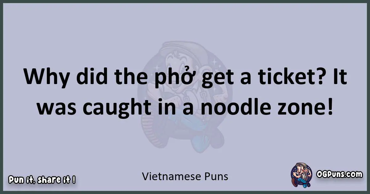 Textual pun with Vietnamese puns