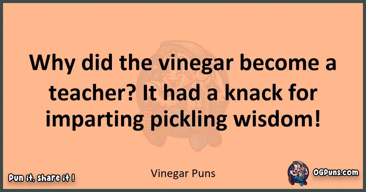 pun with Vinegar puns