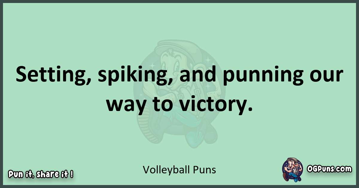 wordplay with Volleyball puns