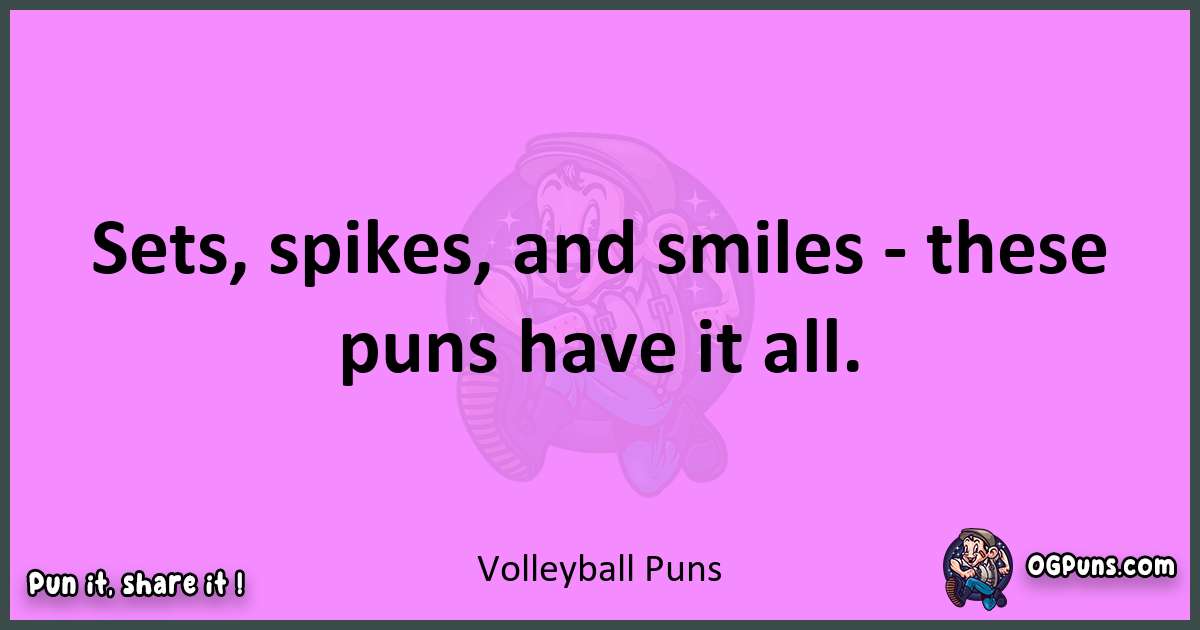 Volleyball puns nice pun